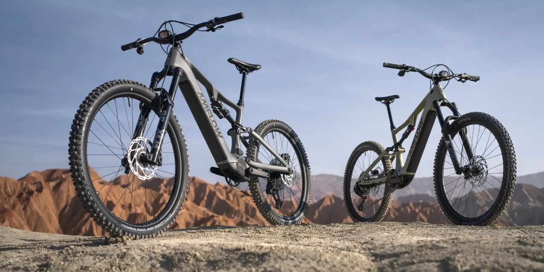 Amflow TL Carbon electric bike on a trail