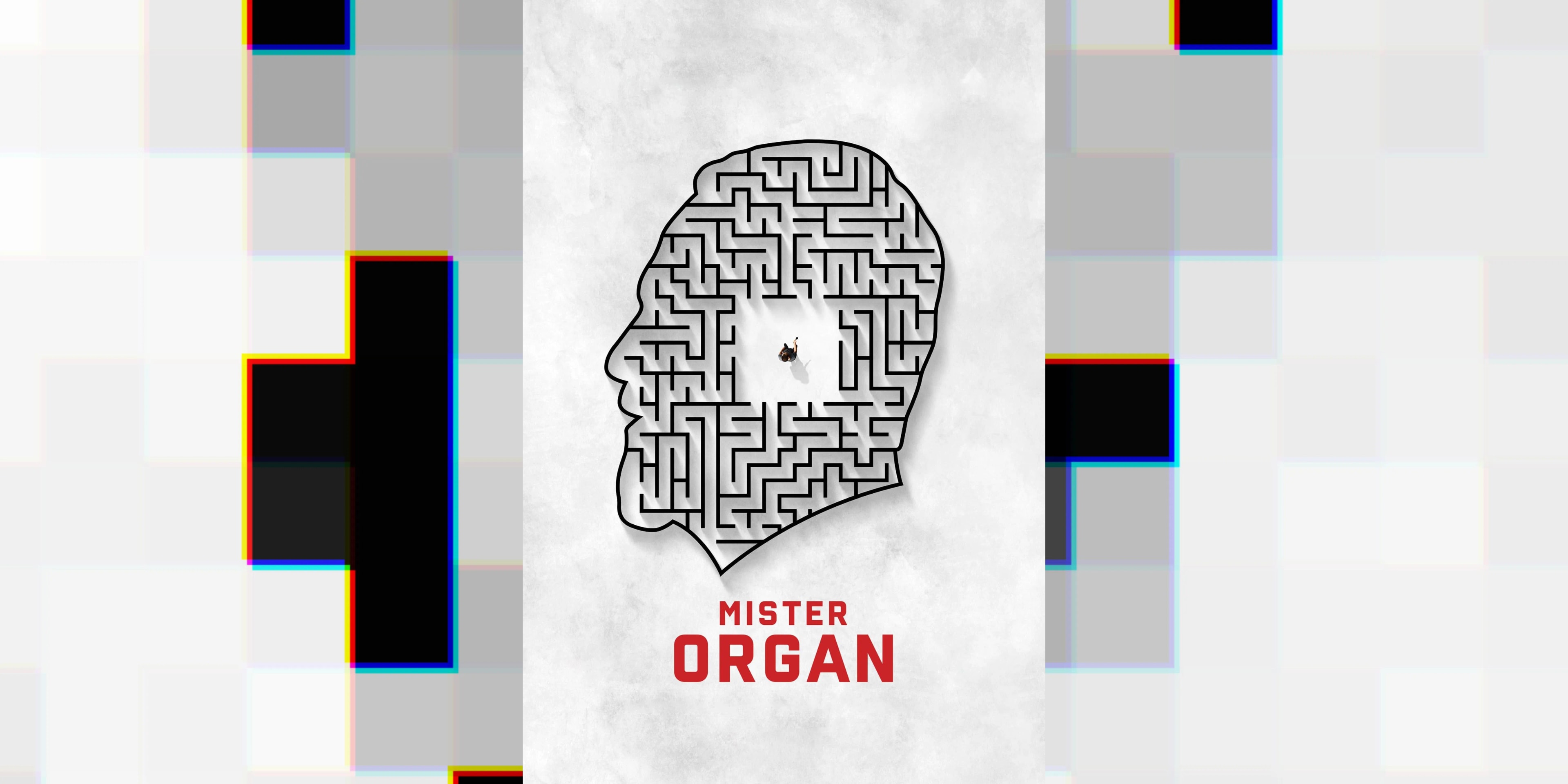 Mister Organ დოკუმენტური ფილმის კადრი