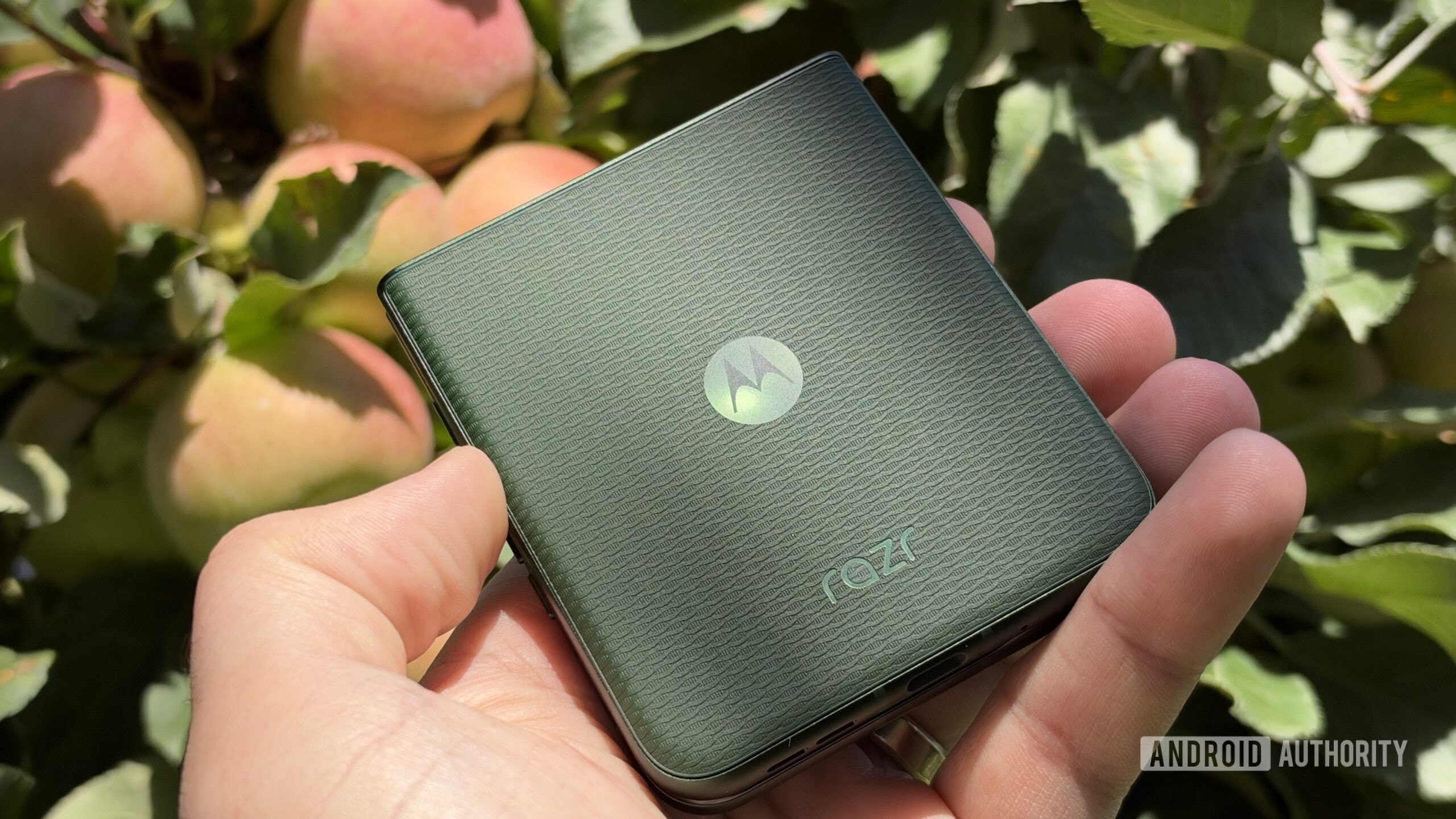 Motorola Razr 2026 smartphone in a folded state