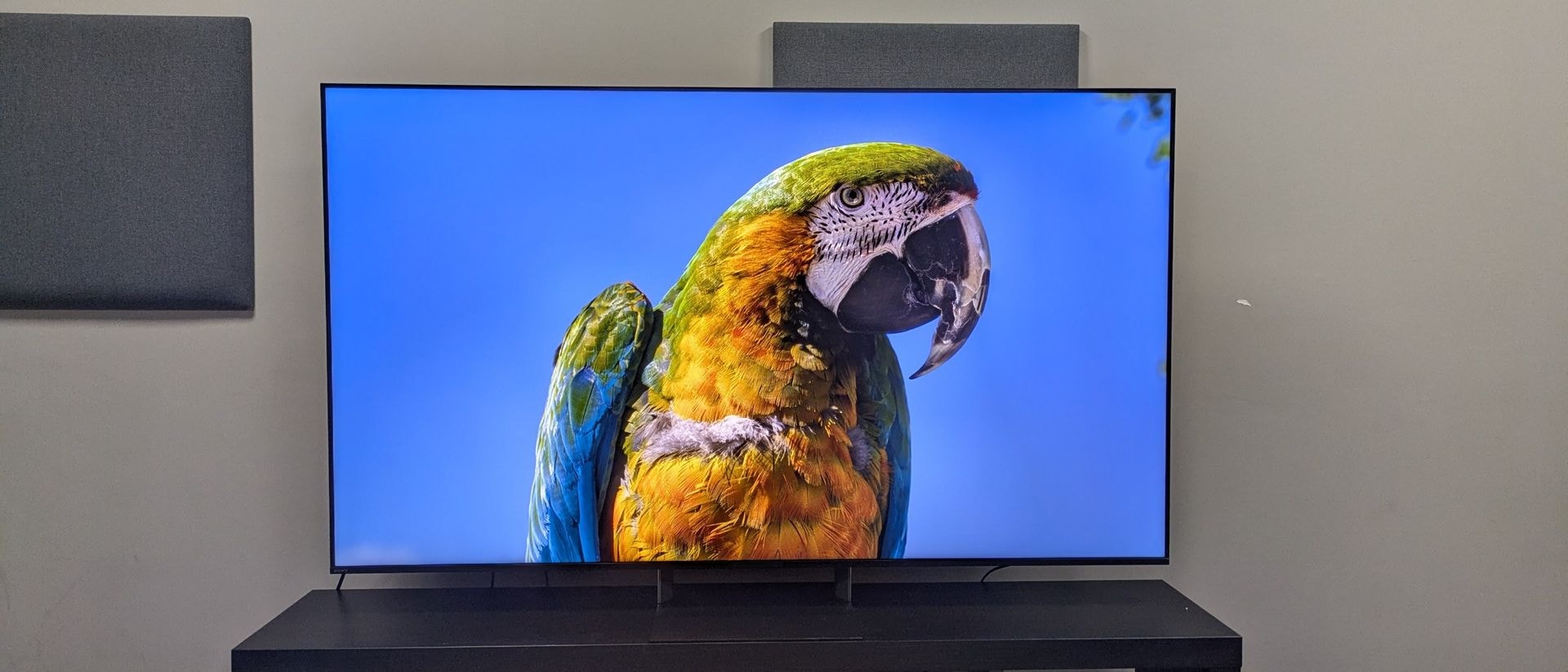 Sony Bravia 9 II television display showing high-quality imagery